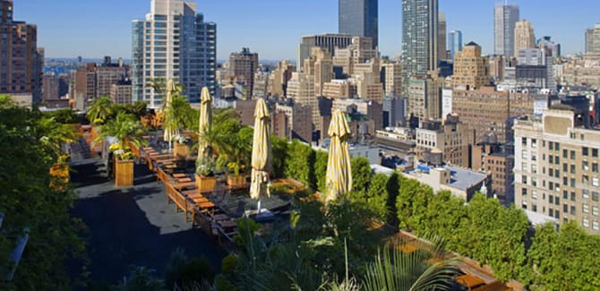 230 Fifth_Rooftop_bar