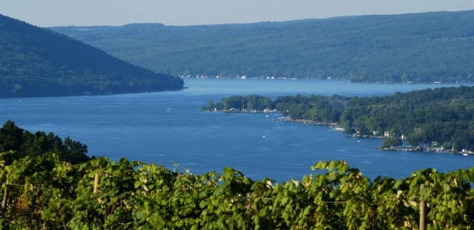 NY Wine