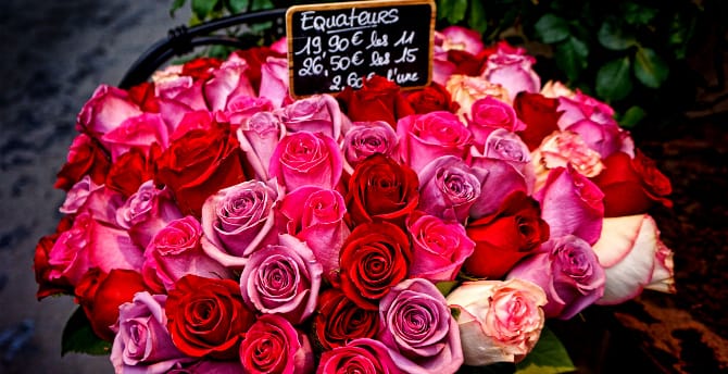 Paris fleurs
