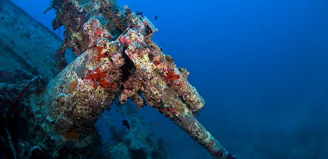 Thistlegorm