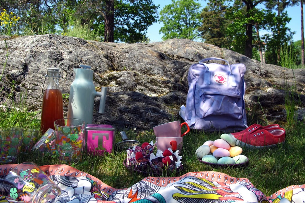ekologisk fika_picknick