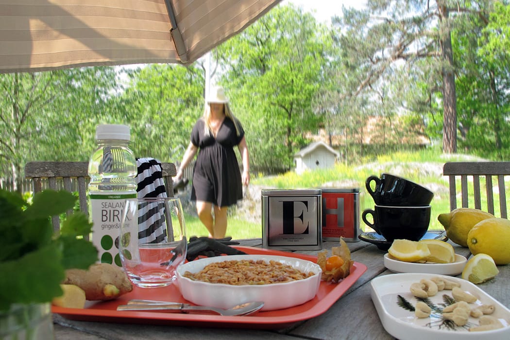 ekologisk fika_rabarber