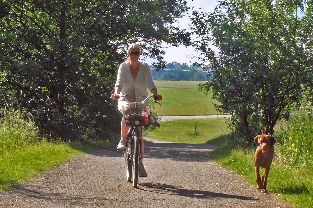 hälsosam sommar cykla