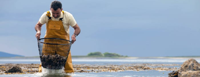 Kellys Oysters_Galway