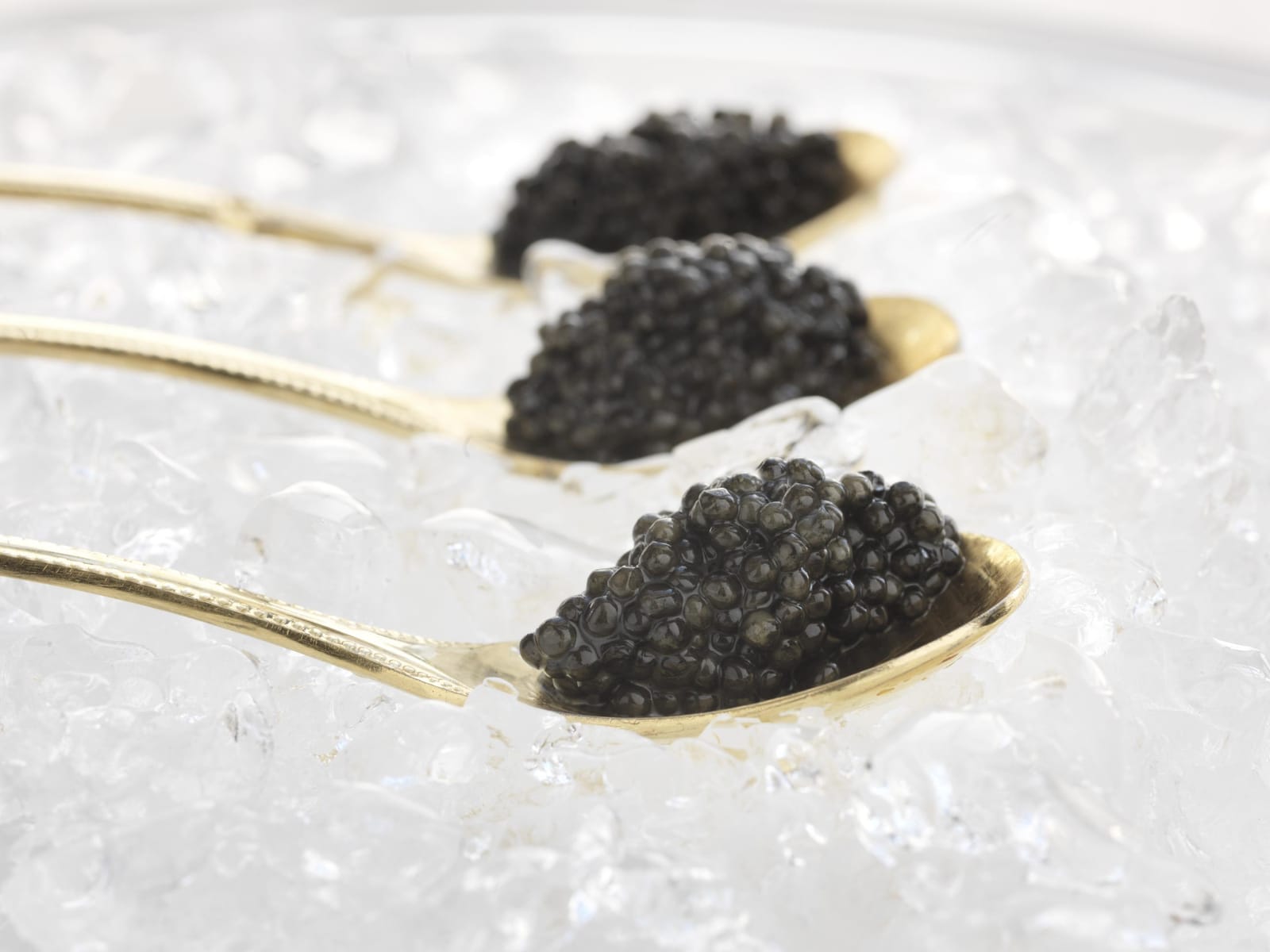 Carelian Caviar Collection4