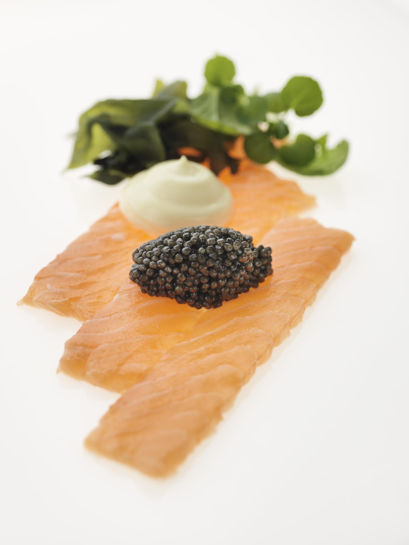 SASHIMI OF SALMON WITH SOY MAYONNAISE AND CARELIAN CAVIAR BAERIAL TRADITIONAL