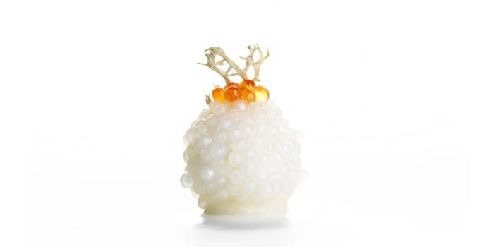 Bocuse d'Or 2015 Kålrabbi, Pepparrot & Tappioki_Myllymäki