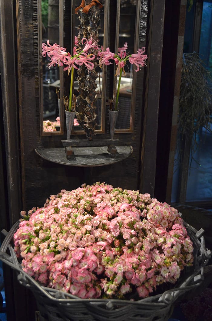 Tage rosa