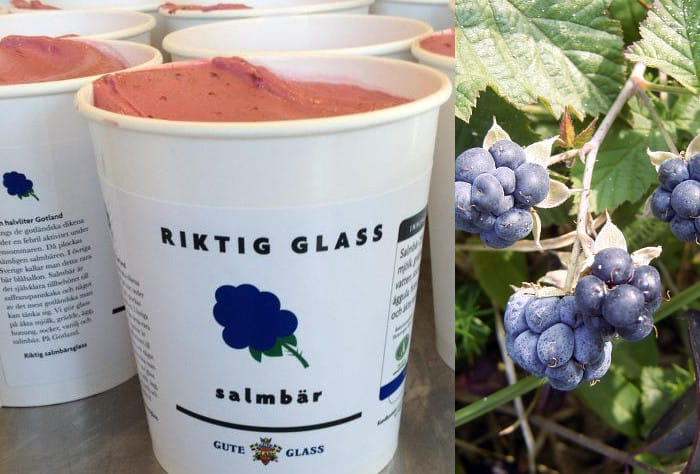 glassens dag GuteGlass_Salmbär