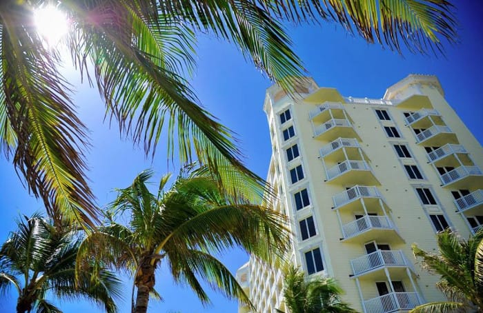 Maria Åkerberg_Pelican Grand_Palm trees