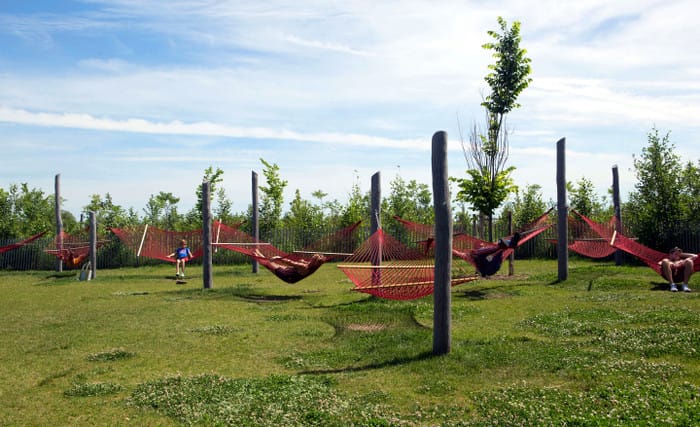 New York-tips Governors Island Hammock Grove