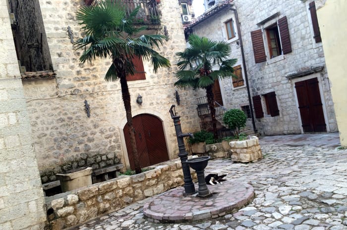 Kotor_old town_torg