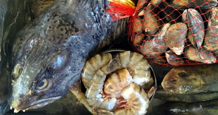 Olsson & Jernberg_en ful fisk