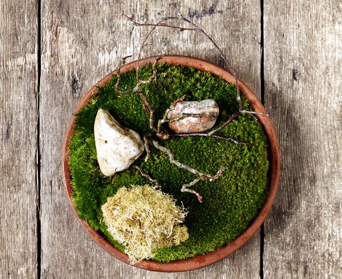 MH_Noma_food_Friterad Renlav