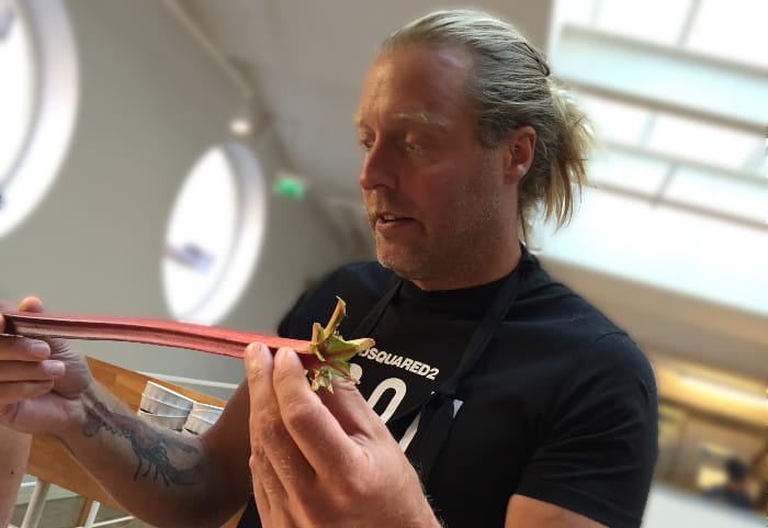 rabarberdessert Gustav Trägårdh rabarberstjälk
