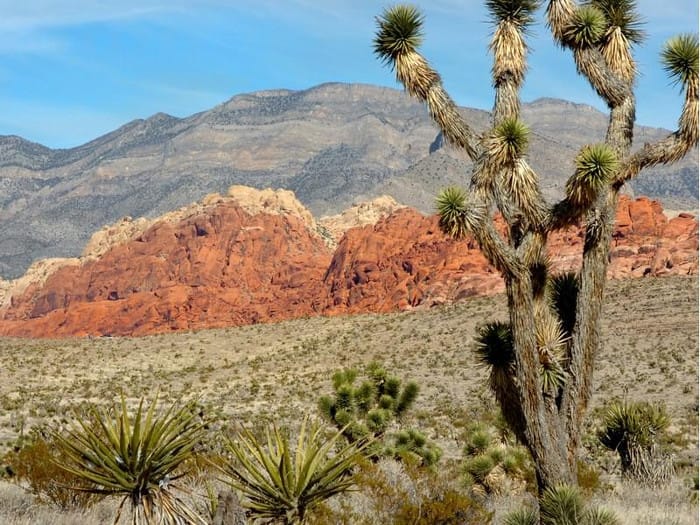 Red Rock Canyon