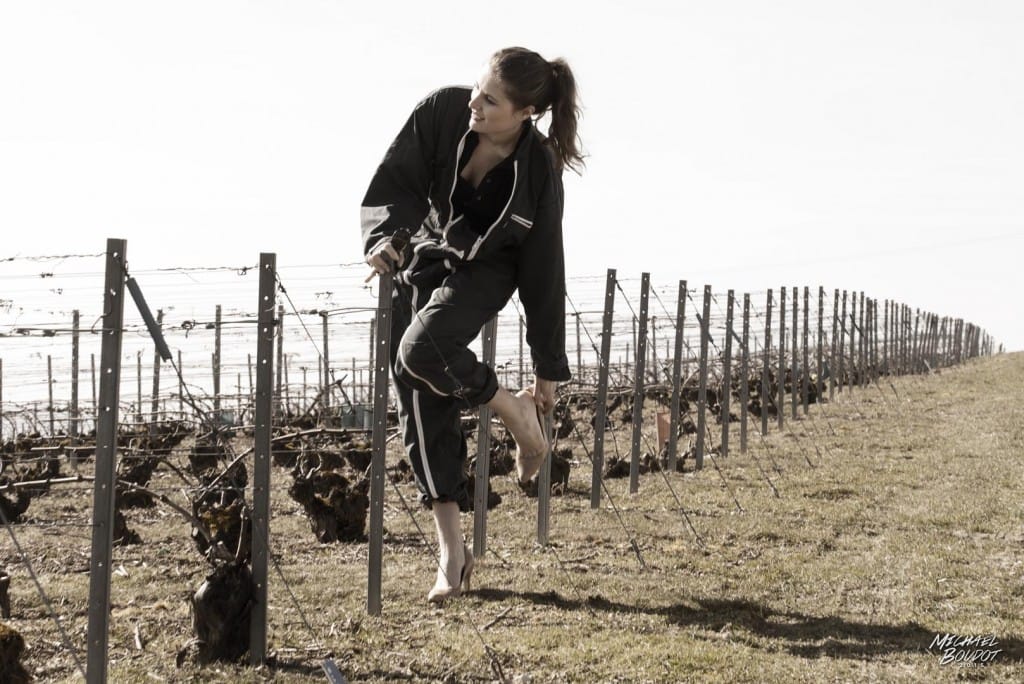 Sophie Milesi – Champagne Guy Mea