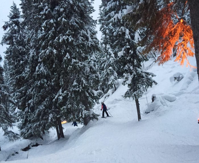 trollskogen hundfjället