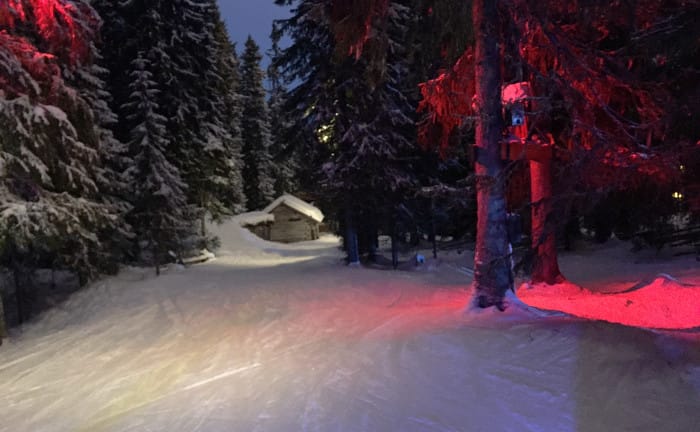 trollskogen hundfjället
