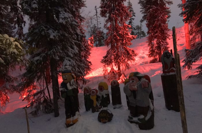 Trollskogen_5_kör_trollskogen hundfjället