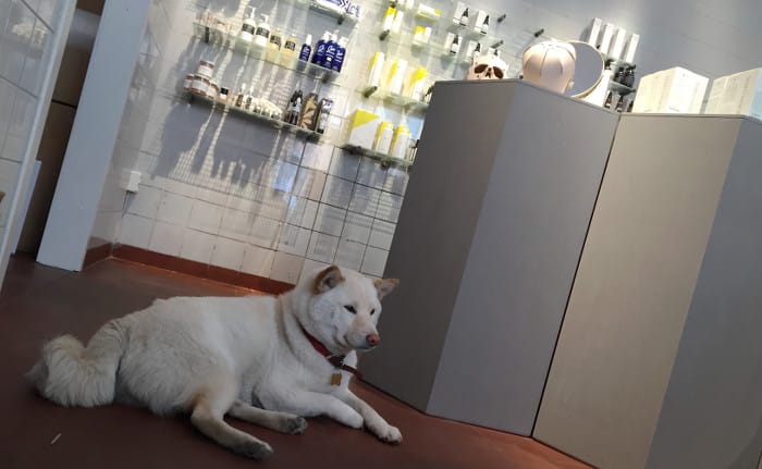 FABLAB_hunden Nalle_700