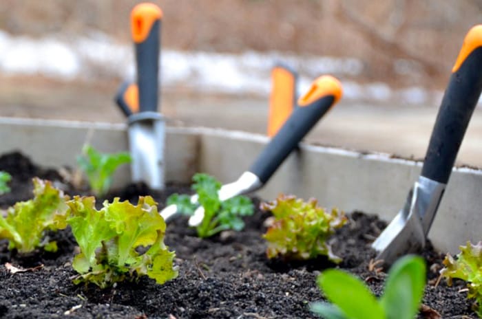 Fiskars_trädgårdsredskap