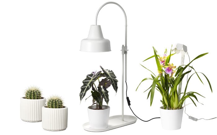 Plantagen_Anoda Växtlampor
