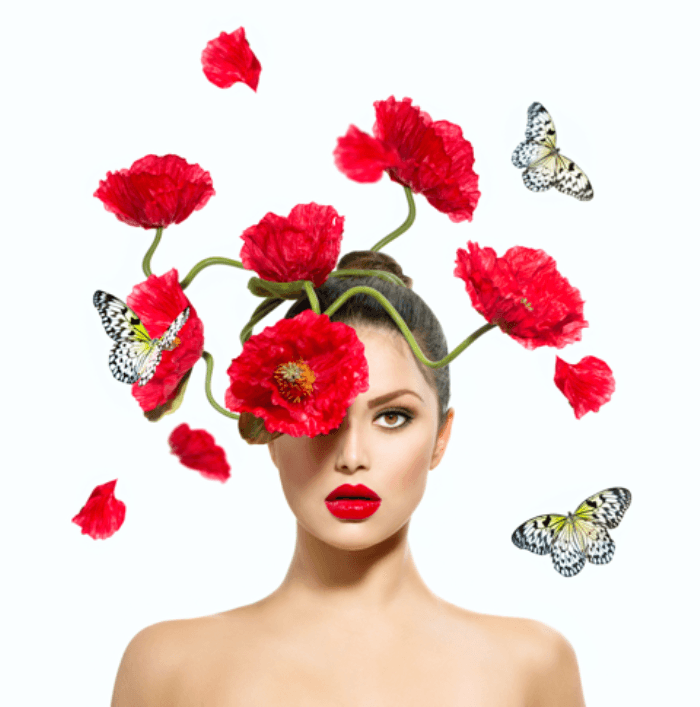 Belle Dame blommor