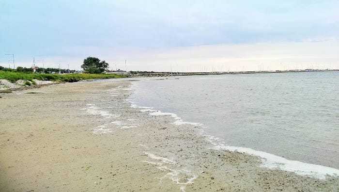 Falsterbo horse_show_skanör_skåne_havet_INTEXT